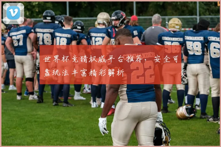 世界杯竞猜权威平台推荐，安全可靠玩法丰富精彩解析