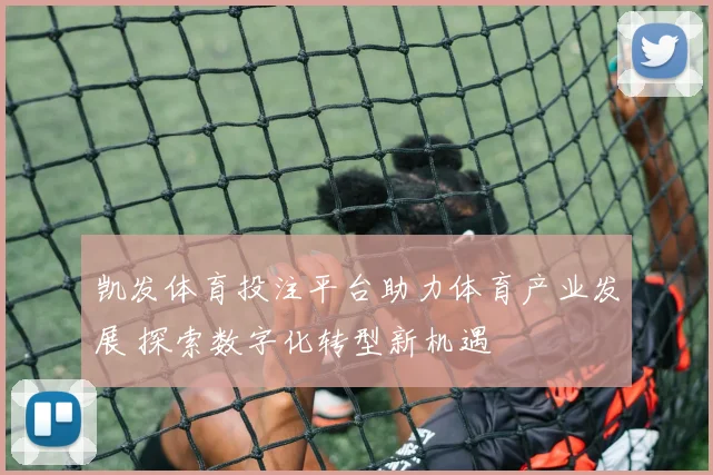 凯发体育投注平台助力体育产业发展 探索数字化转型新机遇