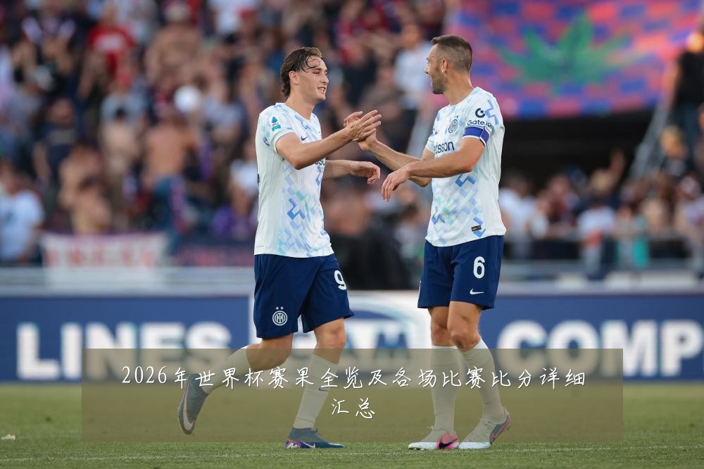 2026年世界杯赛果全览及各场比赛比分详细汇总