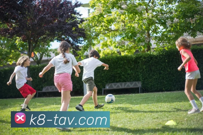 凯发娱乐平台展示图